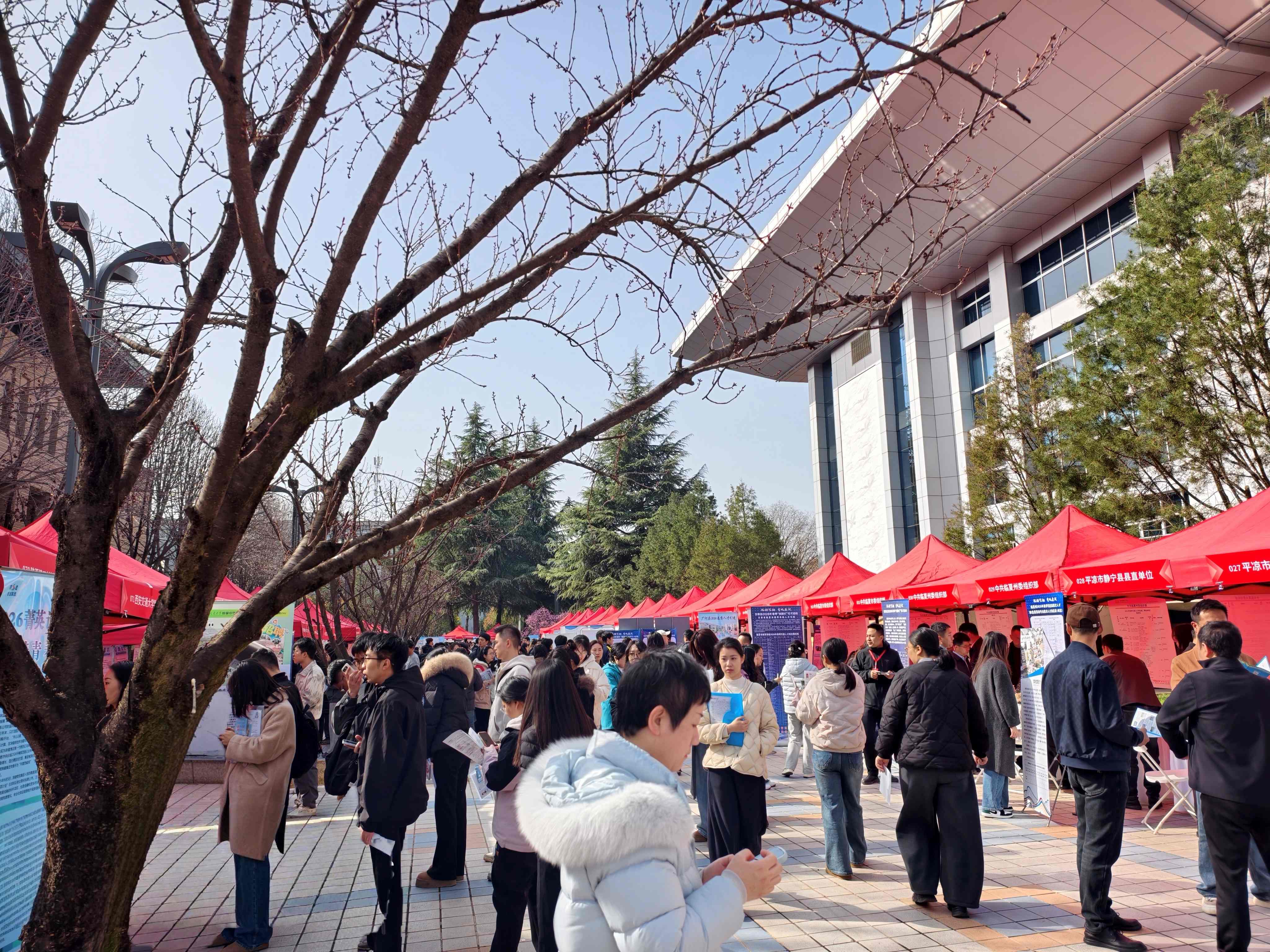 38d20b38-274a-11f1-8da0-fea6c39cc3af.jpg 38d20b38-274a-11f1-8da0-fea6c39cc3af.jpg